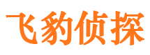 介休私家调查公司